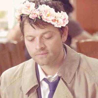 misha misha | in love with team free will | new new new