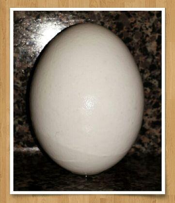 KernUHearMeNow's profile picture. 