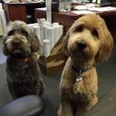 Dylan Marburger - @DylanMarburger - Twitter