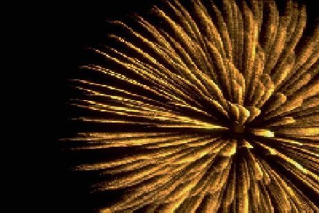 PrelaunchDream's profile picture. Affiliate Marketing, Professional MLM, Network Marketing, Internet Marketing, Home Based Business Builders sharing my success, strategies, and tactics.