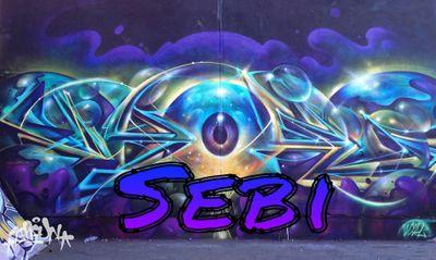iiSebi_'s profile picture. Joined @PearlChapters ! Great player ! We should play !
