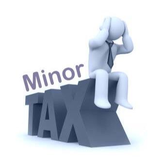 minortax's profile picture. We will find a answer to all your tax questions! We are a company based in the netherlands that gives advice to entrepreneurs or individuals with tax problems.