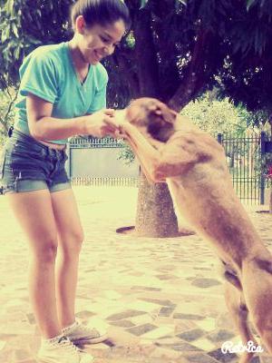 ♡Amo ami Novio ∞ mas que NUNCA ♡