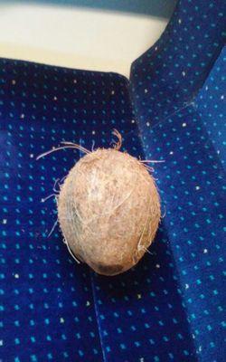 billythefadkid's profile picture. dik