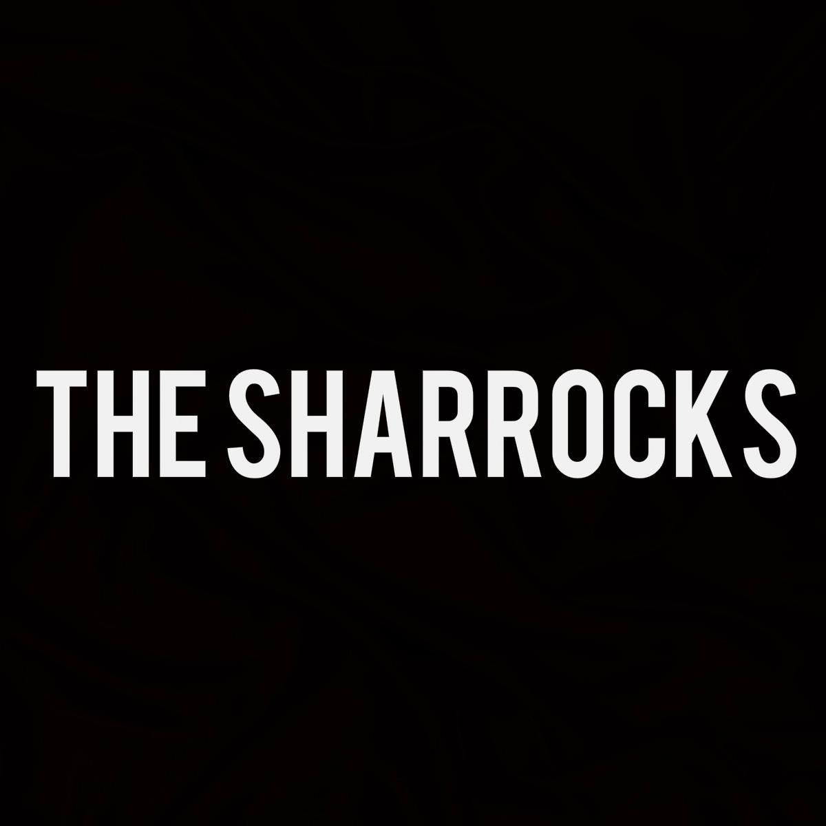 📩 thesharrocksband@gmail.com