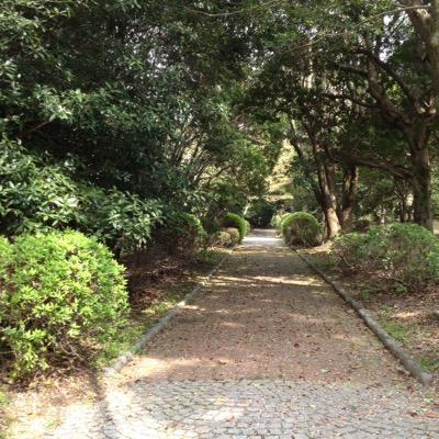 2/11XYZ 2/21冬好き 2/28TMC 4/12 りょワン 4/18ROC