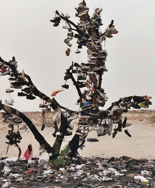 erjackson23's profile picture. 