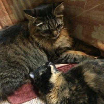 自分らしく。