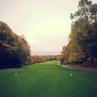 Mechanic at Old Ashburn Golf Club