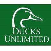 THS_DU's profile picture. Chapter of Ducks Unlimited at Tupelo High School in Tupelo Mississippi.  Like all other DU chapters, we plan to raise funds to help conserve natural wetlands.