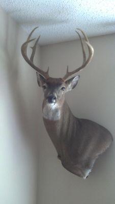 Dirt tracks, NASCAR, Hunting, Fishing, Canoeing, 4-wheeling, Cooking, BBQ, just being outdoors ... My wife and 2 kids!!