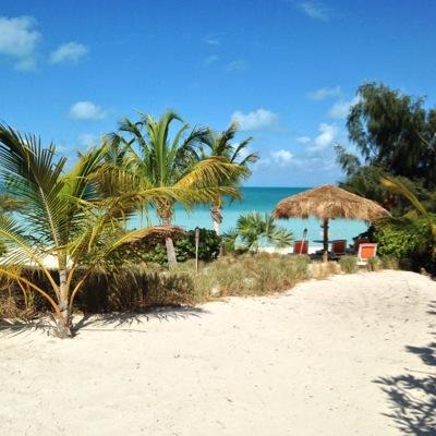 cindyringley's profile picture. 