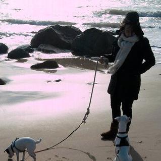 SofiaVanRaan's profile picture. Currently: Digital Response Manager at @UNICEFUSA. Former flames: Marketing Manager at @Betaworks, Digital Campaign Manager at @Glblctzn.