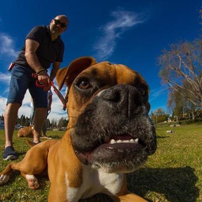 hooksrt8's profile picture. Enjoying life with grand kids, Shelby and Thor our Boxers and the Jeep SRT8, Abarth, and of course fine cigars