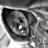FlyPac_'s profile image