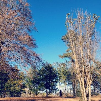 jlcook1998's profile picture. 