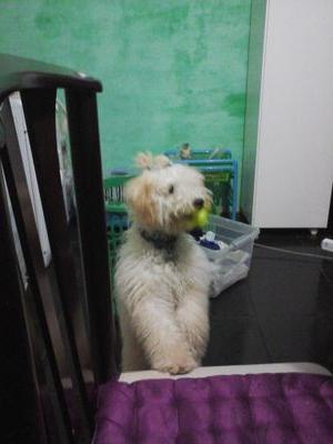 makimoreira's profile picture. 