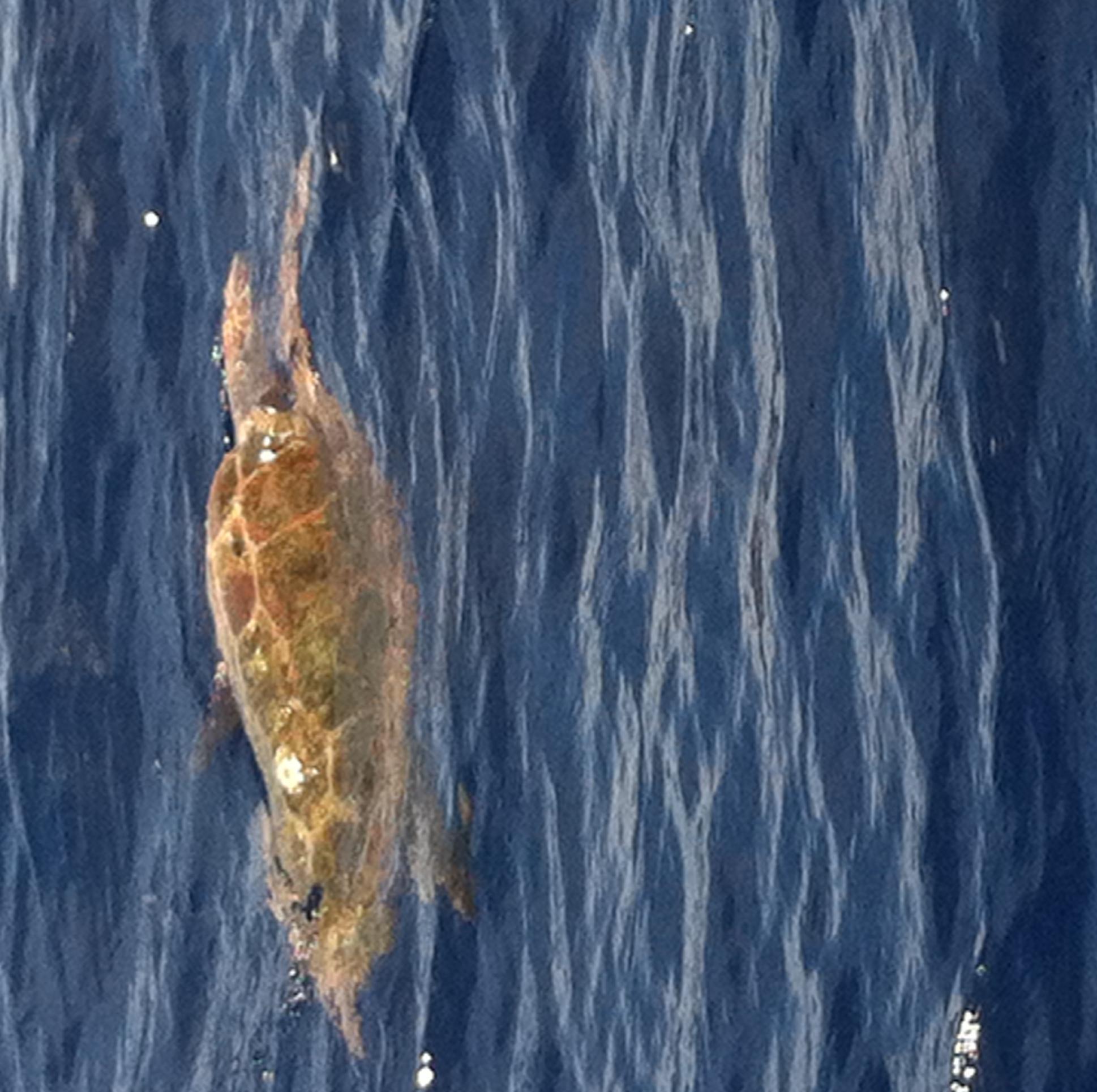 weedro11ler's profile picture. 