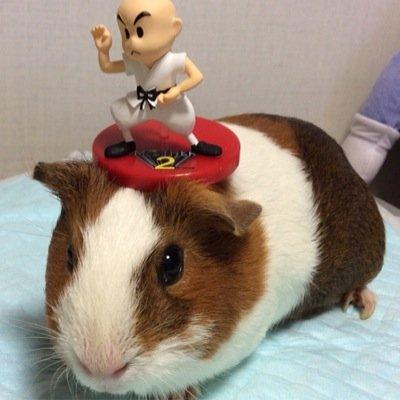 Webと音楽とテクノロジーだけで生きていきたいです。