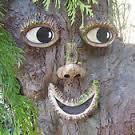 TreefactsDaily's profile picture. ladybugs. butts. pizza.                                  just your average tree living an average life