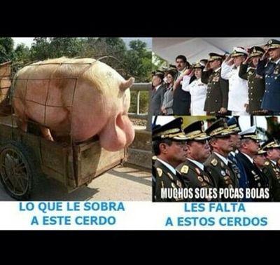 ebgarts's profile picture. Guitarrista arquitecto que valora las artes, nuestra historia, el conocimiento y mucho mas