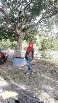 adakala fadeup dgn ap y terjadi
