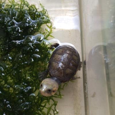 god_sara's profile picture. オーガニックに興味をしめしてます。ゴルフは上達しないけど、楽しんでやってます。料理するのも好きなのです。宜しく。