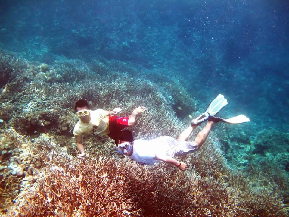 othabode's profile picture. 