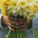 احمدخليفه خليفه (@055b765cec43426) Twitter