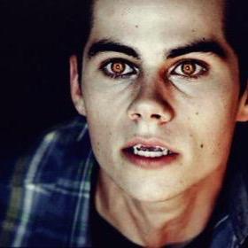 StilestheWolf_'s profile picture. I want the strength to protect my loved ones.  (RP AU MC)