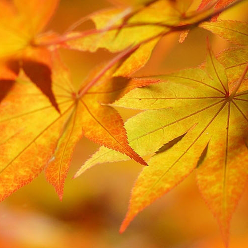 orpiyevsi2011's profile picture. Jeff is a seasoned marketing executive with a proven track-record building and leading teams to develop