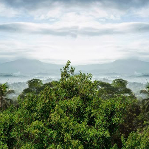 Auke2013's profile picture. По возможности обхожу мокрый асфальт. Вдруг нассал кто-то?..