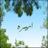 amera__ak's profile image