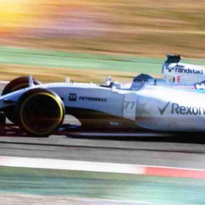 511b0f67b37f49c's profile picture. live life while you can