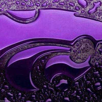 Wife, Mom to 3, proud K-State alum and fan
