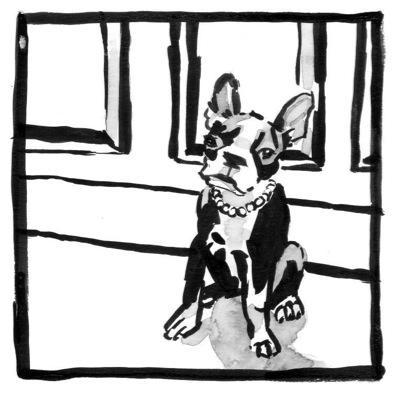 Shopdog @brickmortarshop