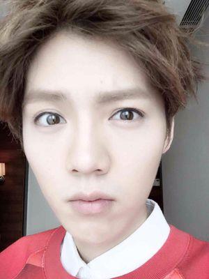 LUHANJAPAN_JP Profile Picture