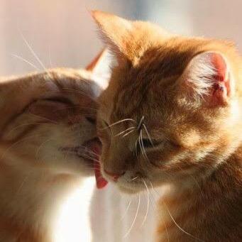 Grivna_Dollar's profile picture. 