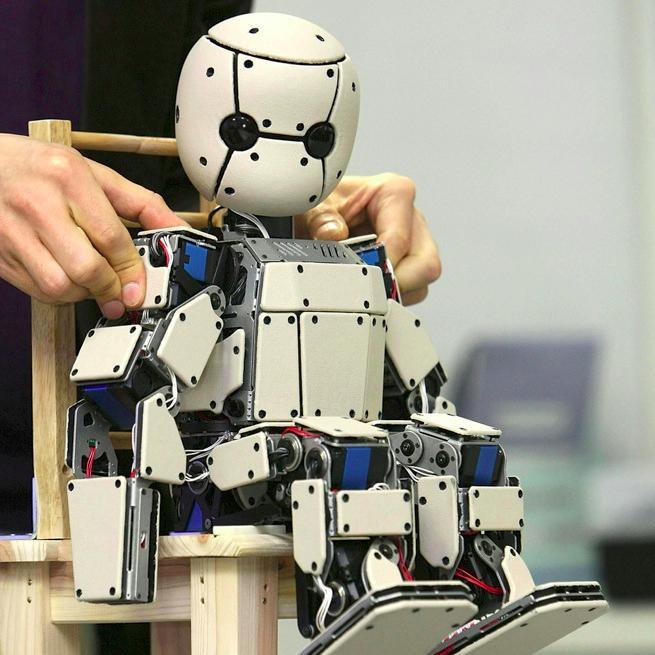 Developmental Robotics, Computational Models of Human Development, Cognitive and Developmental Systems