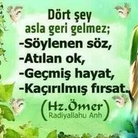 BirGaripYolcuyum (@mahmut4835) 's Twitter Profile