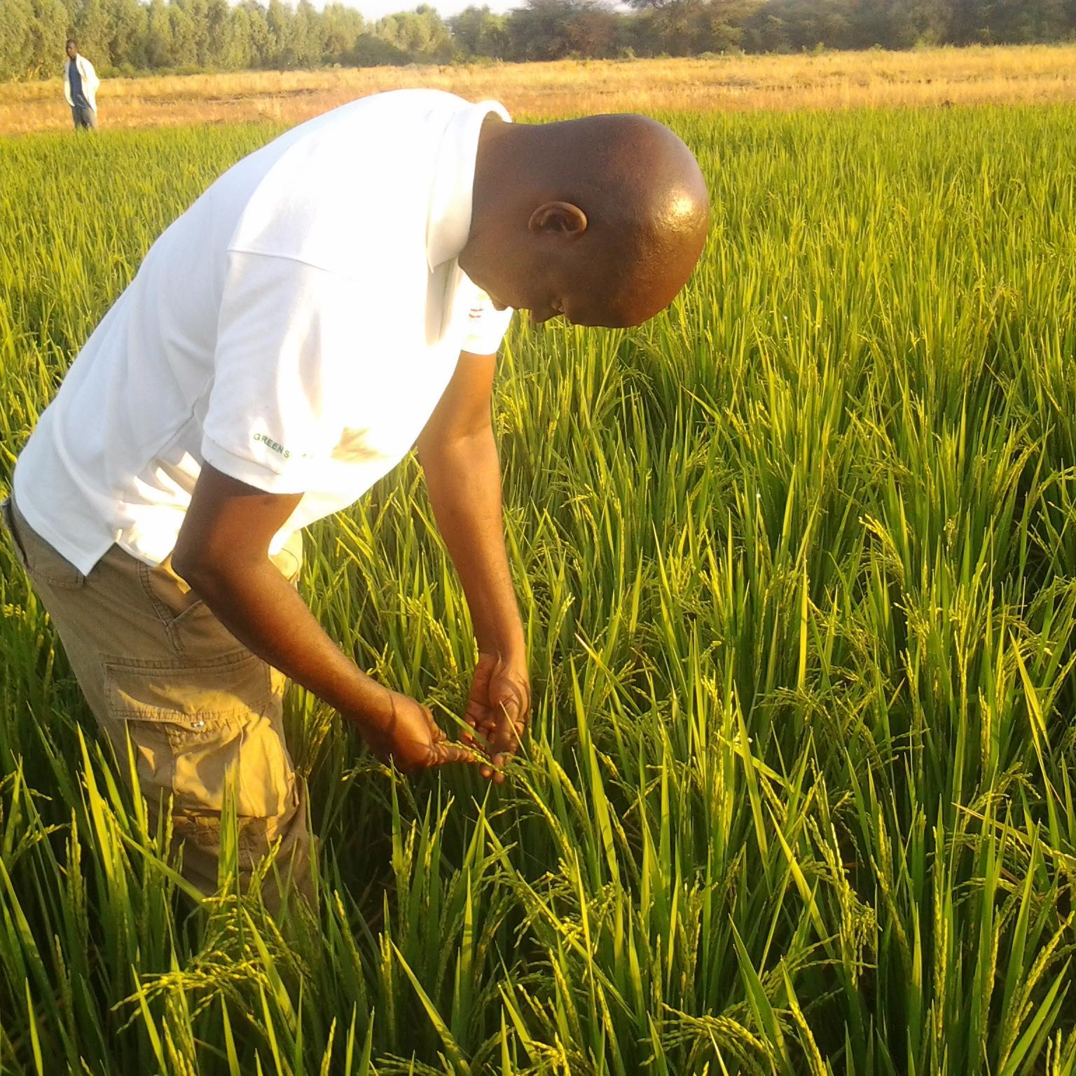 NdawFAYE's profile picture. 