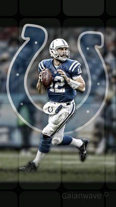 IndysFatGuy's profile picture. 