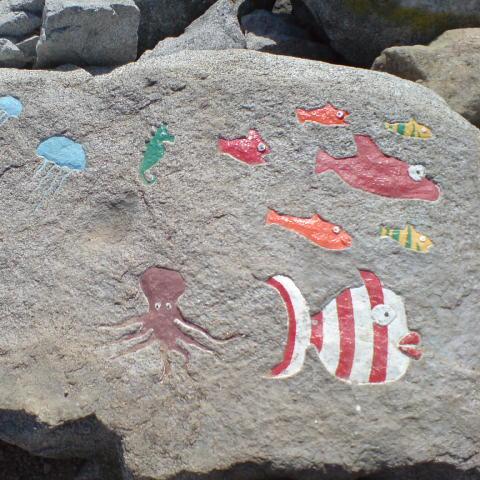 silke_rene's profile picture. 