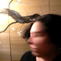 Nancy Campbell (@falsemaria) 's Twitter Profile