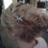 amazesalon's profile image