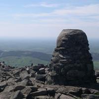 Love Gullion (@lovegullion) 's Twitter Profile
