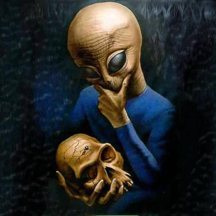 locklipteam Profile Picture