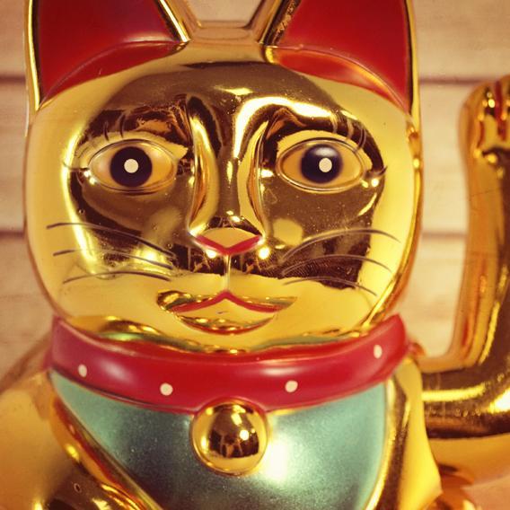 WillyWinkekatze's profile picture. Firmengründer-Blogger-Katze