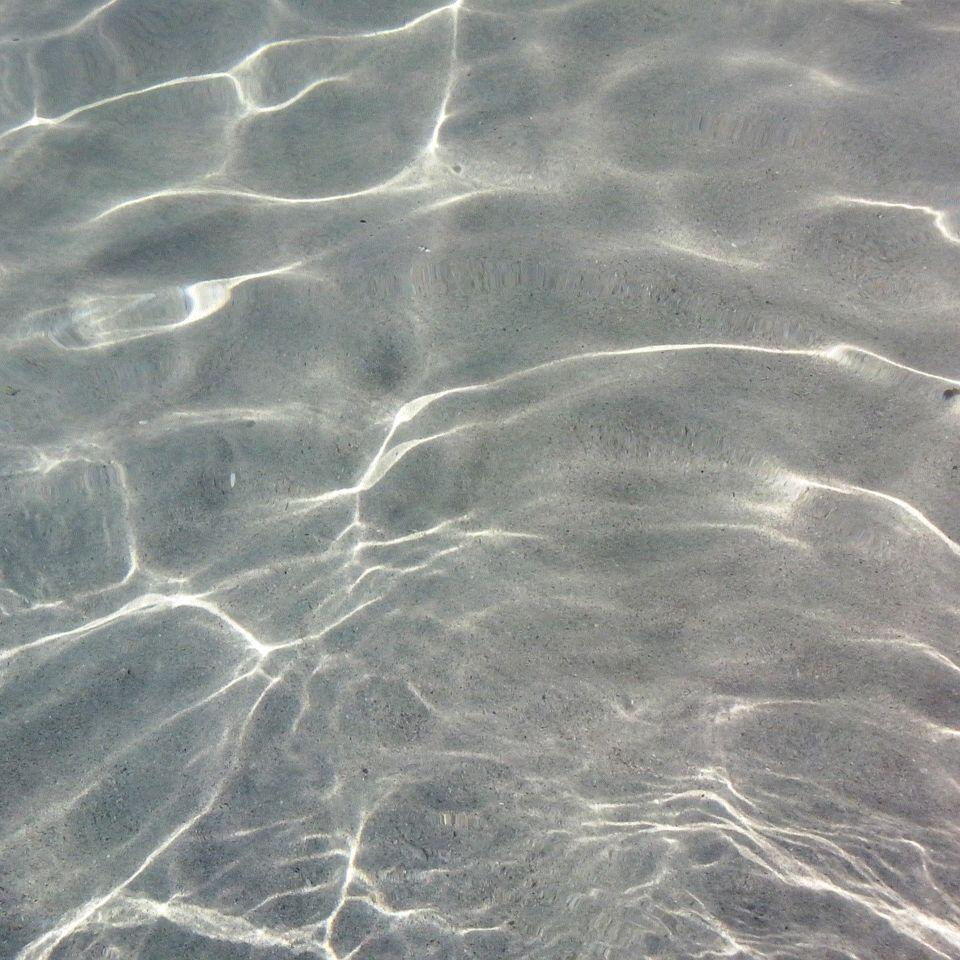 MManu71's profile picture. 