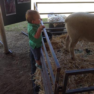andrew_landale Profile Picture